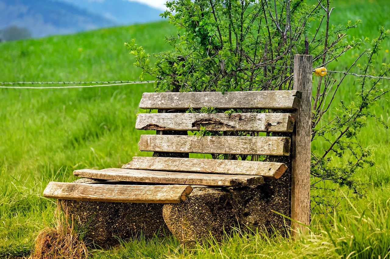 How to Create a DIY Garden Bench